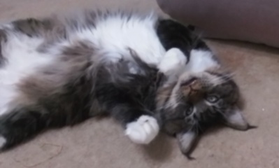 Come and tell me your dull and unexciting news 24: Calmly through the day 