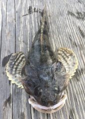 There is no God cont...