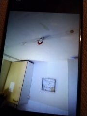 Urine coming through my ceiling 