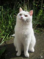 August 2021 - They've been here for half a year