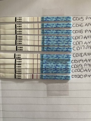 Anyone had Peak on CD20? 