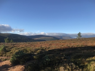 Places to live for off road running/biking