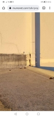 Help can anyone give ideas what this leak is? 