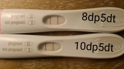 FET/IVF - January 2023
