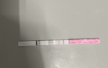 Positive ovulation test help please ??