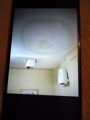 Urine coming through my ceiling 