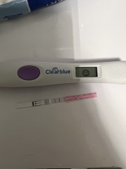 Positive ovulation test help please ??