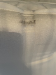 Were these bed bugs?! 