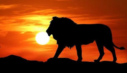 Sing Africa with the Primrose Hill Children's Choir, starts Wed 11 Jan