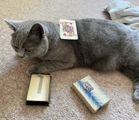 Thread 4 - TalkExiles: "The Planet Goes On Being Round"