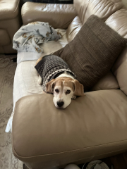 Wearing a jumper overnight in a cold room