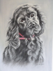 Pet portraits - brutally honest opinions needed 