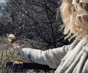 Thread 4 - TalkExiles: "The Planet Goes On Being Round"