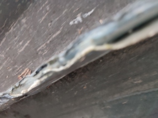 To want to know how badly I've messed up my car?