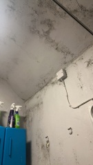 At my wits end with mould !!