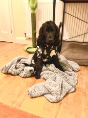 Wearing a jumper overnight in a cold room
