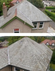 To reroof? Pictures attached
