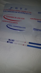 Freedom tests