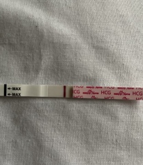 Line eyes? 12DPO