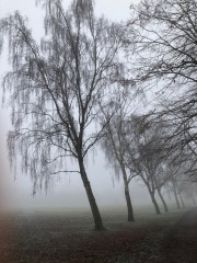 Thread 4 - TalkExiles: "The Planet Goes On Being Round"