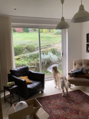 Help me think like a developer (family home)