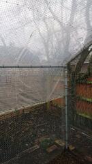 Stinky, horrible, waterlogged chicken run - advice / opinions please