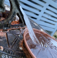 What has grown my mystery ice sculpture?