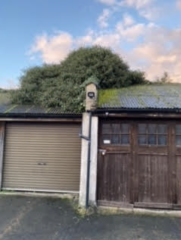 UK Rules/laws on Hedges, Ivy & Roots Growing into our Garage