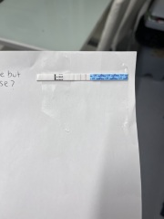 Ovulation test