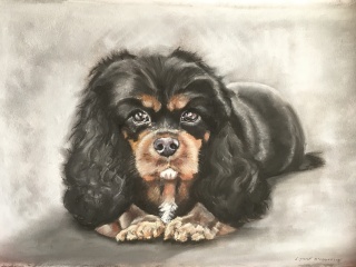 Pet portraits - brutally honest opinions needed 