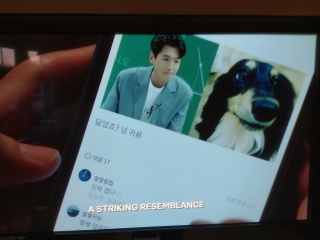 MsLatté’s Daebak Cybercafé (Kdrama addicts #38): Where we’re still reeling from the 2022 top 5 scoring Jdrama First Love v Alchemy of Souls kerfuffle. What can I say? Takeru Satoh broke our scoring rubric.
