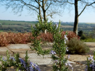 Thread 4 - TalkExiles: "The Planet Goes On Being Round"