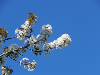 Thread 4 - TalkExiles: "The Planet Goes On Being Round"