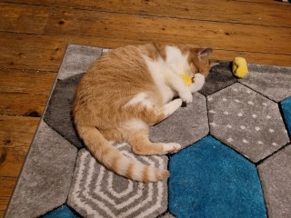 Come and tell me your dull and unexciting news 24: Calmly through the day 