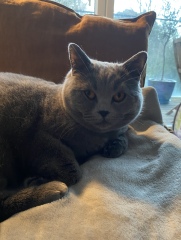 Thread 4 - TalkExiles: "The Planet Goes On Being Round"