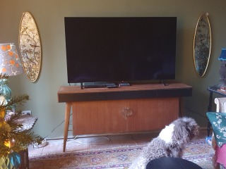 What else can I do to this room?