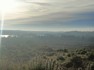 Come chat hiking with me!