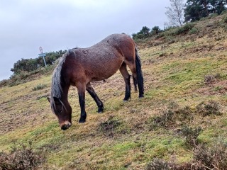 Come chat hiking with me!