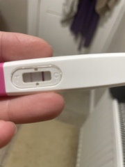 Pregnant at 40+ years old 