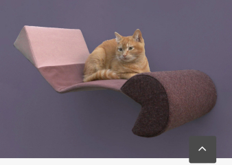Beautiful Cat Furniture
