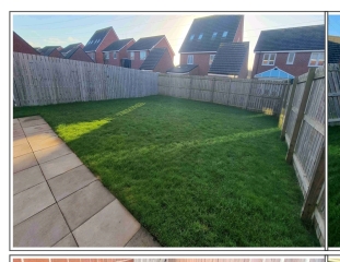 Sun block ☀️ in the south facing garden