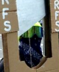 SNP demo - 'decapitate t*rfs'