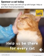 Even Cat Treats Are Affected