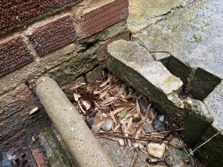 Is this a hole in my damp proof course?