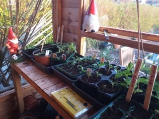 Please help me with ideas for my new potting shed 