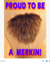 Gusset Gripper is standing for election!