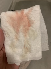 Implantation bleed?……