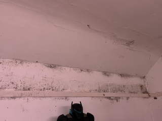 At my wits end with mould !!