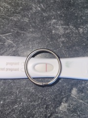 White lines on FRER 11dpo