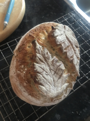 Jan '23 Low Carb Bootcamp - Week 2 - how did you get on?!